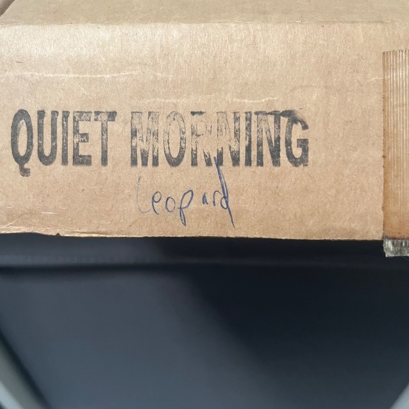 Quiet Morning by Charles Fracé  Small Wonders of the Wild Plate # 4191 B Leopard - Picture 14 of 14